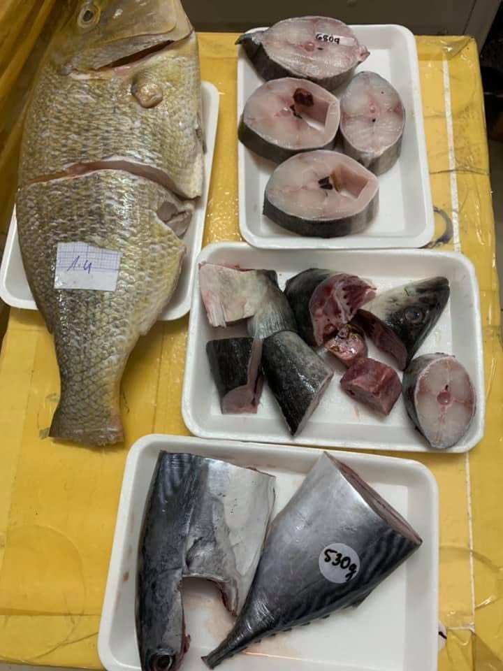 Khay xốp đựng cá
