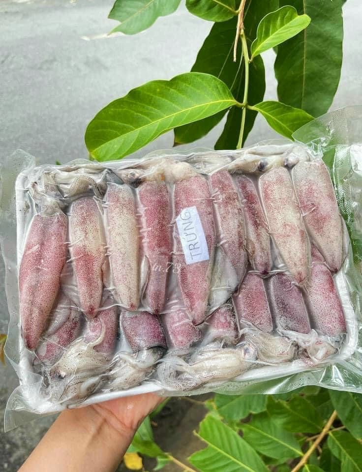 Khay xốp đựng mực