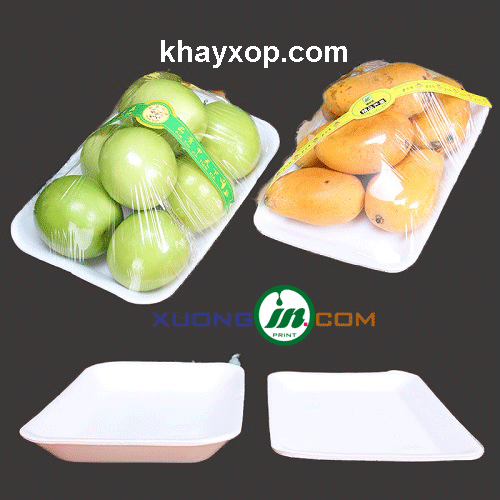 khay xốp đựng trái cây