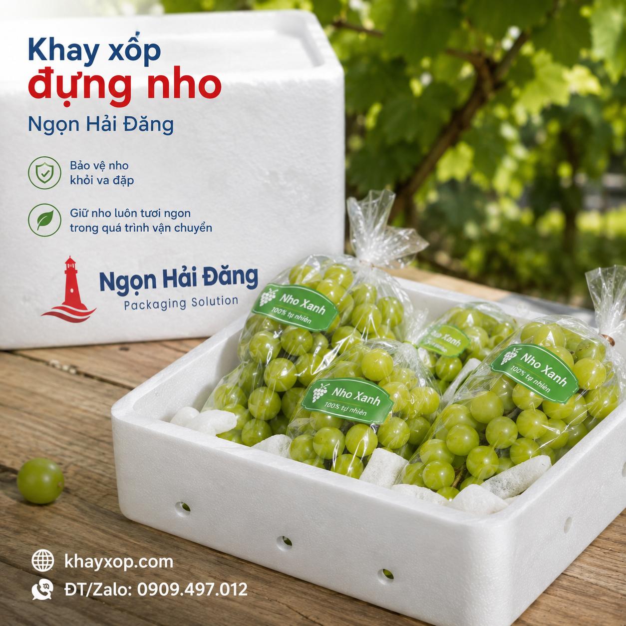 Khay xốp đựng nho